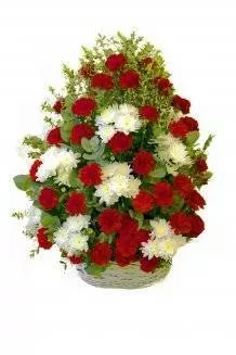 Корзина из живых цветов КЖ02