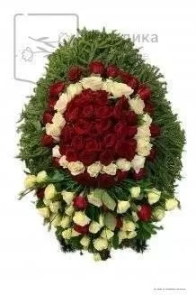 Венок из живых цветов на еловых ветках ВЖ23