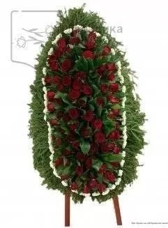 Венок из живых цветов на еловых ветках ВЖ12