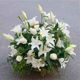 Корзина №68