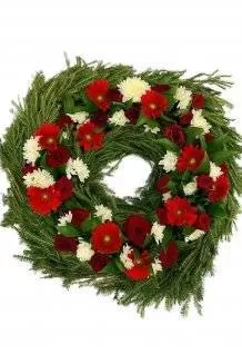 Венок из живых цветов на еловых ветках ВКЖ01