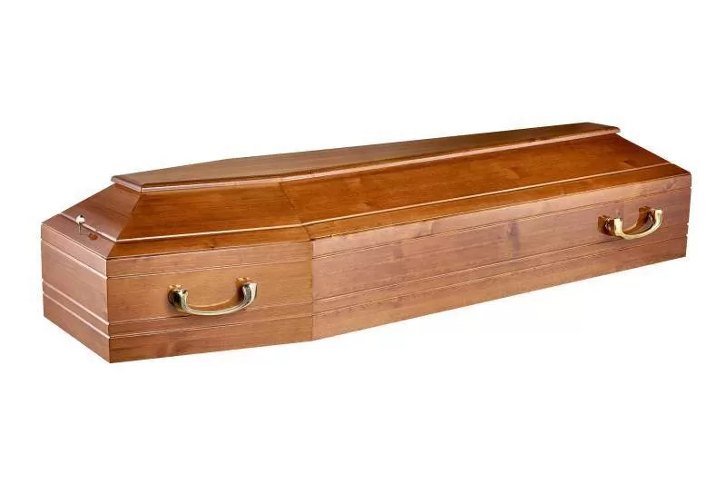 Гроб Феникс 6 (глянцевый)