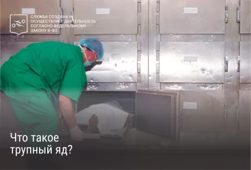 Что такое трупный яд?