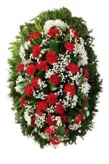 Венок из живых цветов на еловых ветках ВЖ-22