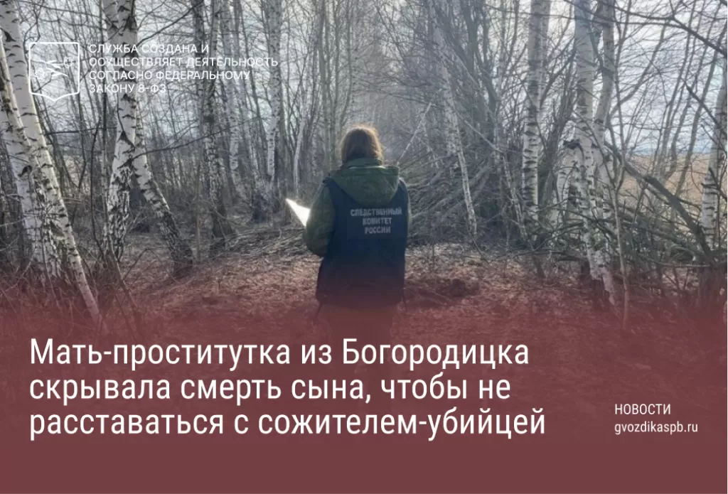 Мать-проститутка из Богородицка скрывала смерть сына, чтобы не расставаться с сожителем-убийцей