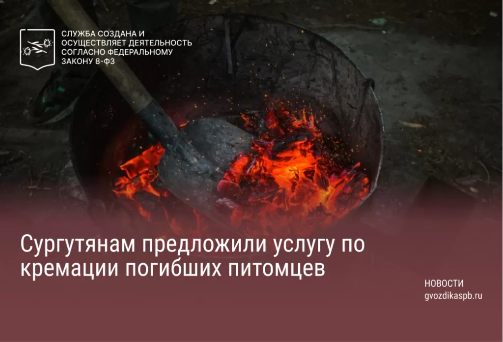 Сургутянам предложили услугу по кремации погибших питомцев