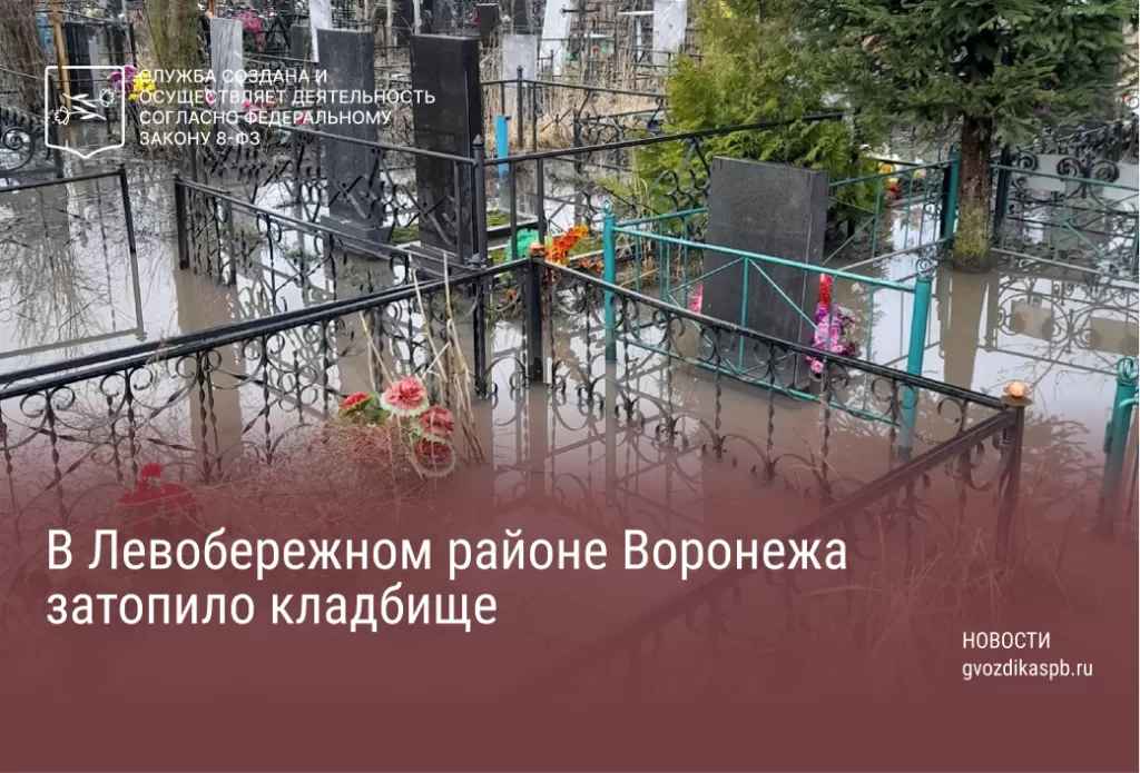 В Левобережном районе Воронежа затопило кладбище