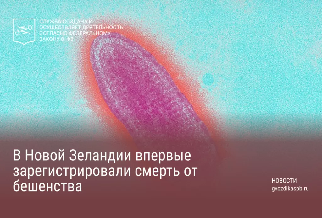 В Новой Зеландии впервые зарегистрировали смерть от бешенства