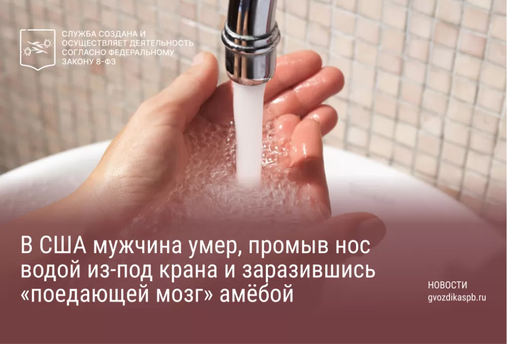 В США мужчина умер, промыв нос водой из-под крана и заразившись «поедающей мозг» амёбой