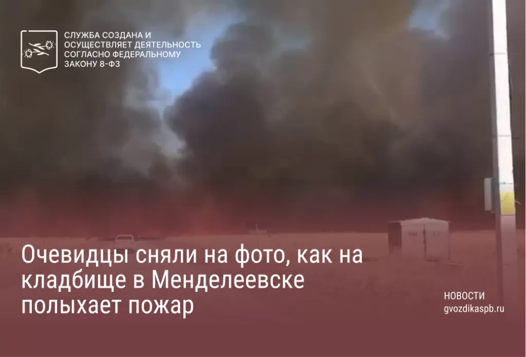 Очевидцы сняли на фото, как на кладбище в Менделеевске полыхает пожар
