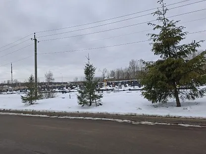 Южное кладбище в Санкт-Петербурге