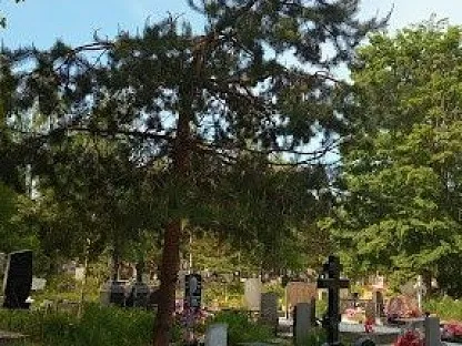Ковалёвское кладбище в Санкт-Петербурге