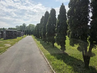 Красненькое кладбище в Санкт-Петербурге