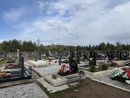 Муринское кладбище в г.п. Мурино Ленинградской области