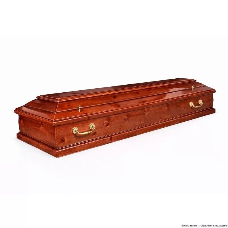 Гроб Аполло глянцевый