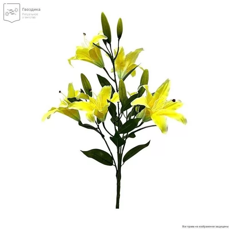 Букет Лилия Б3304