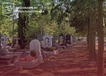 Запреты и рекомендации на кладбище: важные правила поведения